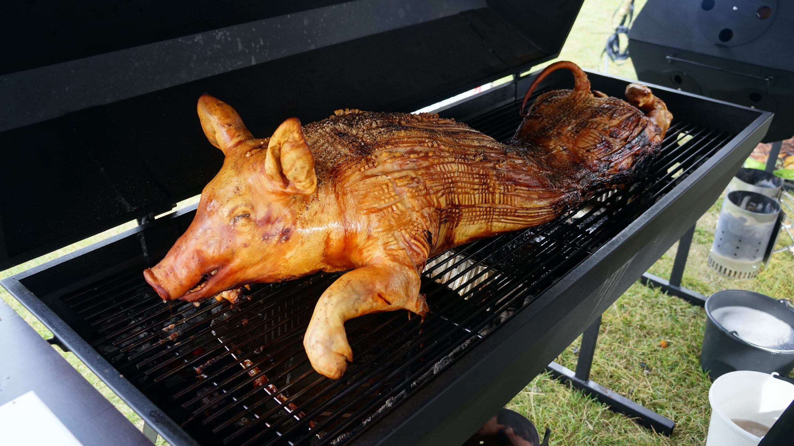 Helstegt pattegris på grill