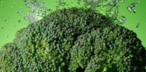 Broccoli