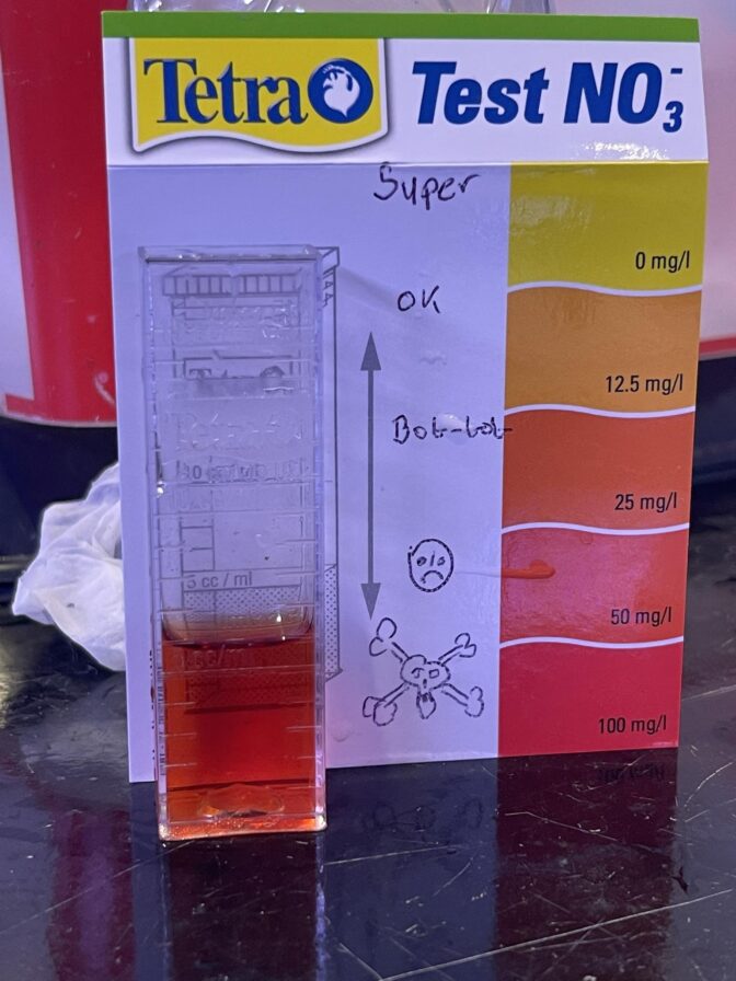Nitrattest med rødt resultat, testområde viser 100 mg/l
