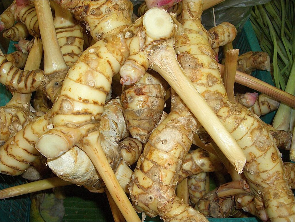Galangarod