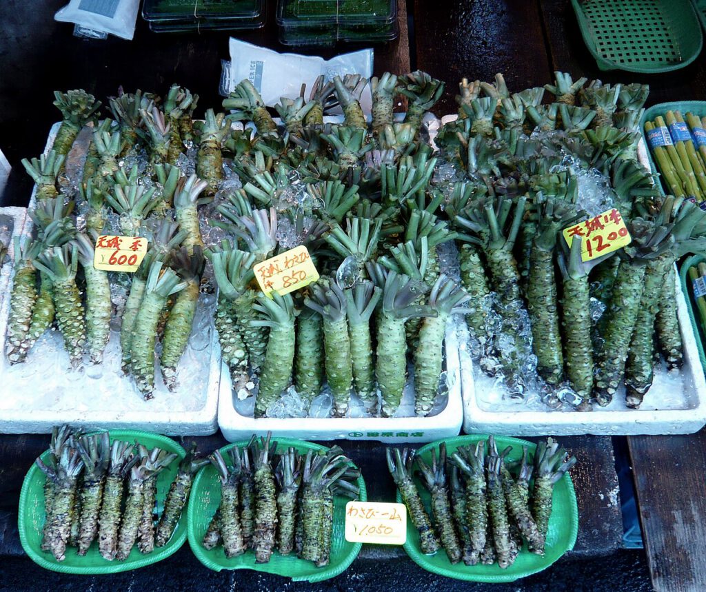 Wasabi