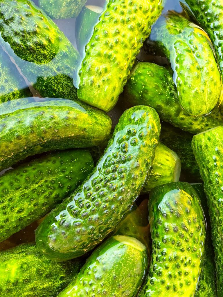 Hjemmesyltede asier på glas