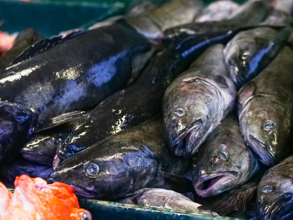 Fiskepakke