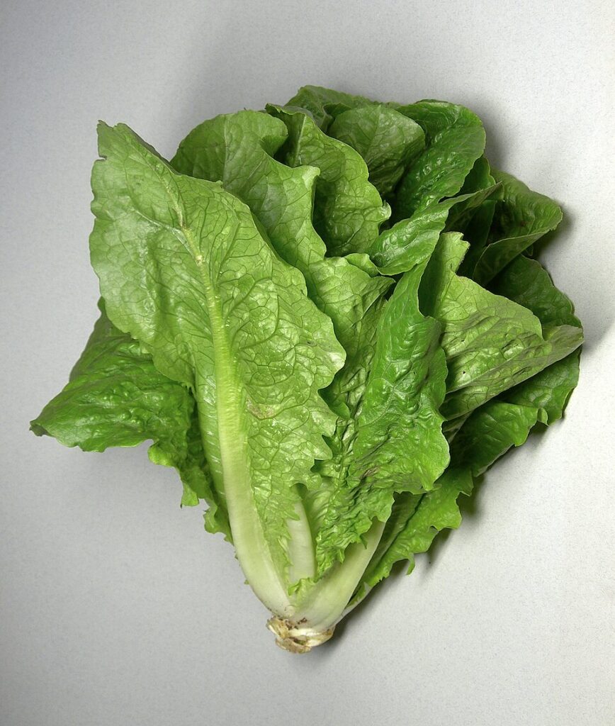 Hovedsalat