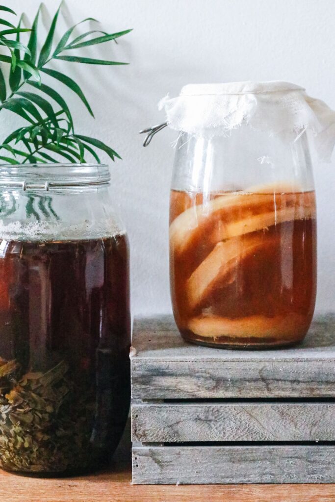 Kombucha-bryg undersøges
