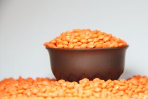 Plantebaserede proteinkilder – bønner, linser, tofu og nødder