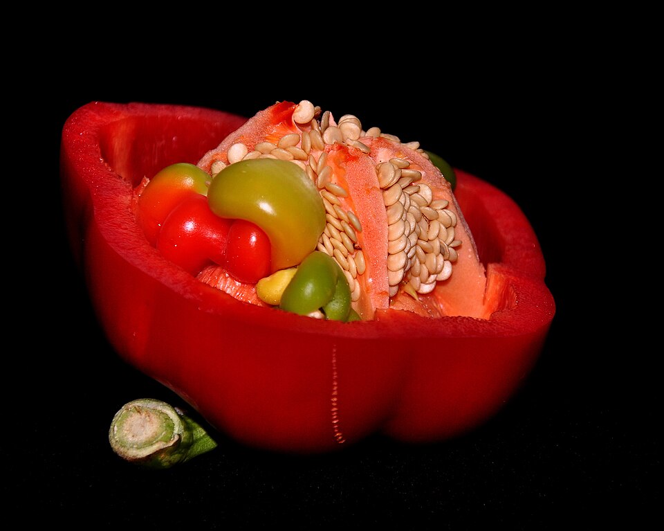 Rød peberfrugt