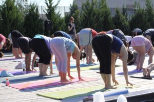 Yoga på hold eller derhjemme?